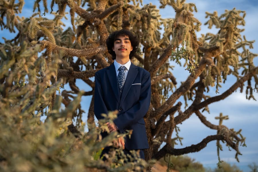 Young man in a suit framed by the branches of a cholla cactus
