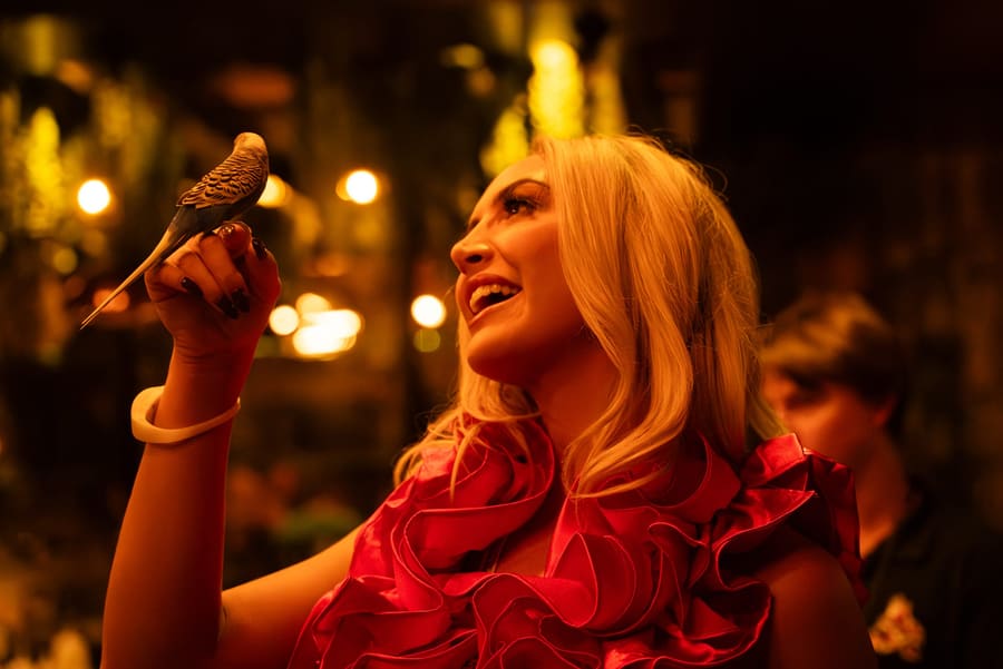 Guest in a red ruffled dress laughing as a small bird perches on her hand