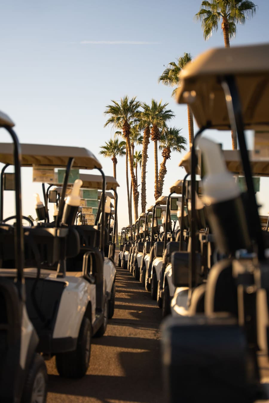 A long row of golf carts lined up beneath palm trees